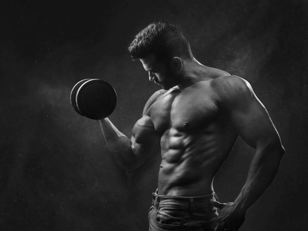 Workout, Muscle building