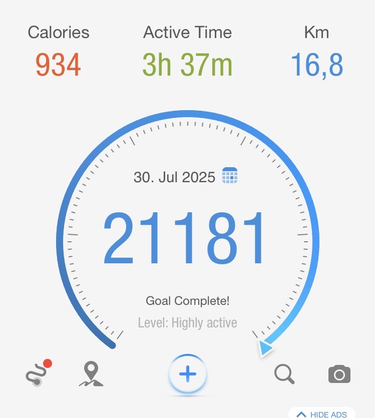 Walking challenge - Discipline in Fitness